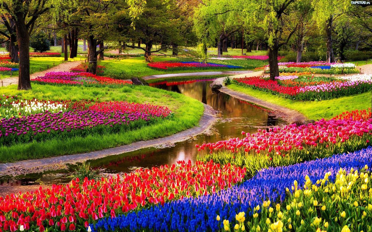 Boutique Suites Lisse - Keukenhof Exterior foto